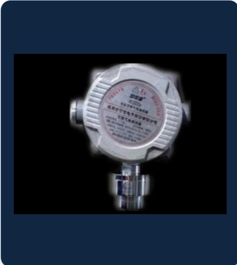 Combustible Gas Detector