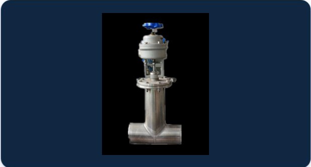 Check Valve